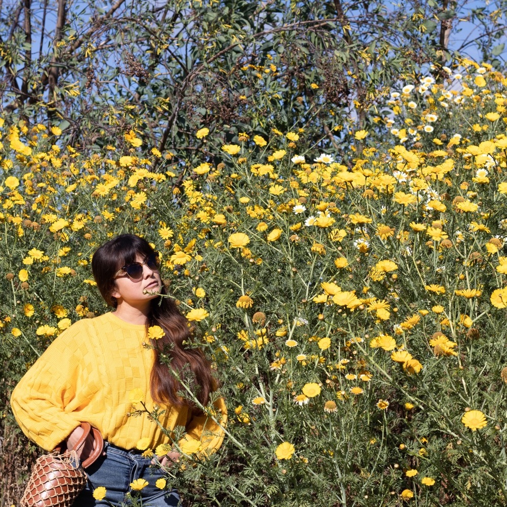 Meet your Posher, Erika